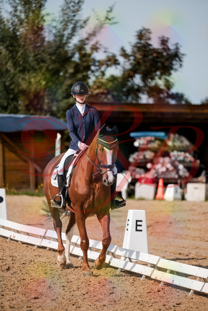 2026_10_03_Siefer-Hof_123442_Z63_53037503 | Professionelle Reitsport-, Turnier- und Eventfotografie von Robert Broda. Galerien mit ausgewählten und bearbeiteten Bildern direkt online ansehen und bestellen.