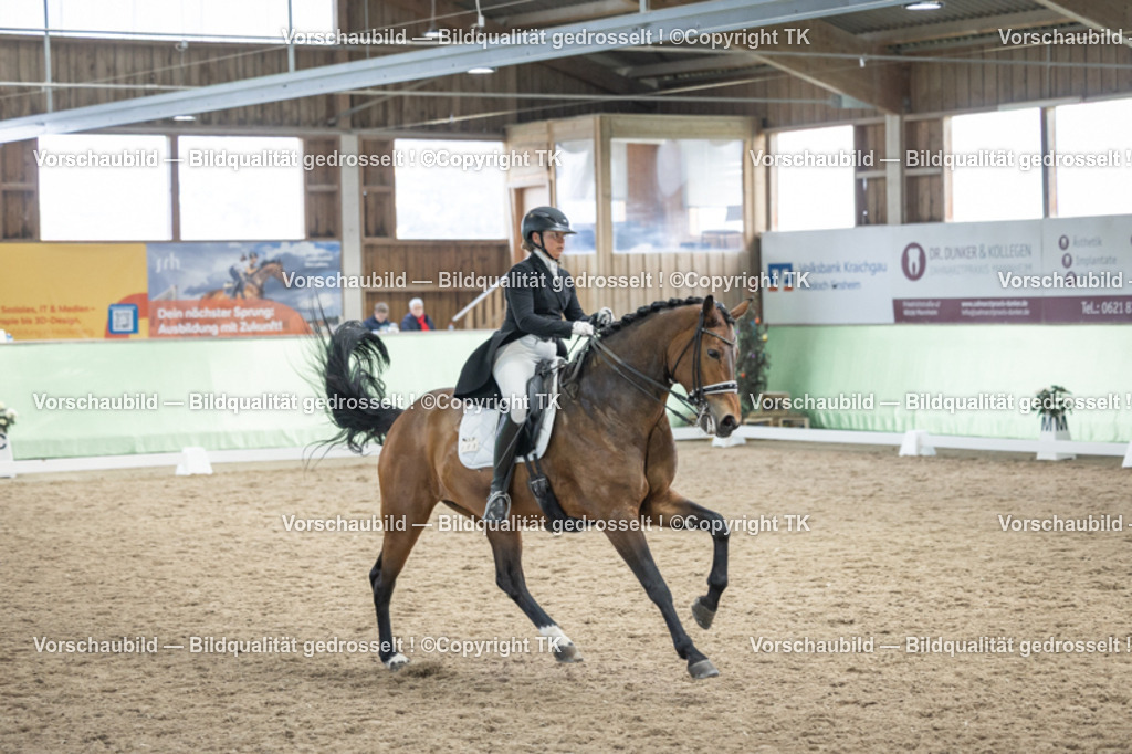 _D5A6344 | Emotionale Pferde- & People-Fotografie rund um Heidelberg, Leimen & Umgebung. Natürliche Fotos von Pferd, Mensch & Familie. Jetzt Termin sichern!