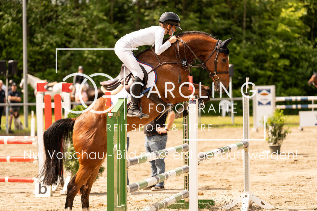 DSC02447 | Carolin Gieschke