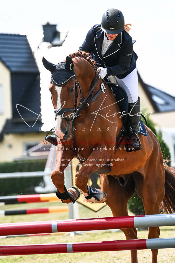 DSC_9398 | Pferde- und Turnierfotografie in Westsachsen. Pferdeportraits, Auftragszeichnungen und intuitive Kunst.
