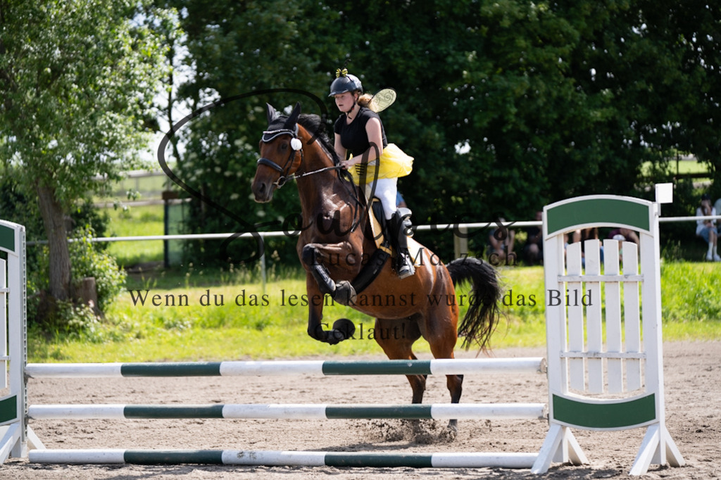 A7V04569 | Pferdefotograf