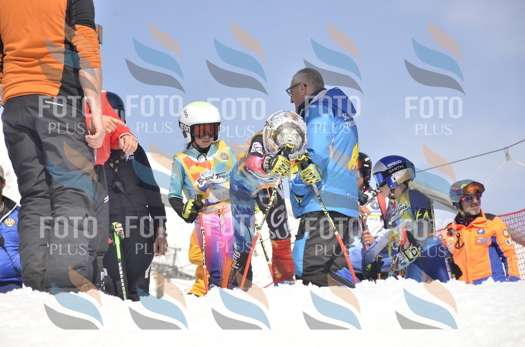 _ELE9539 | holidayphoto