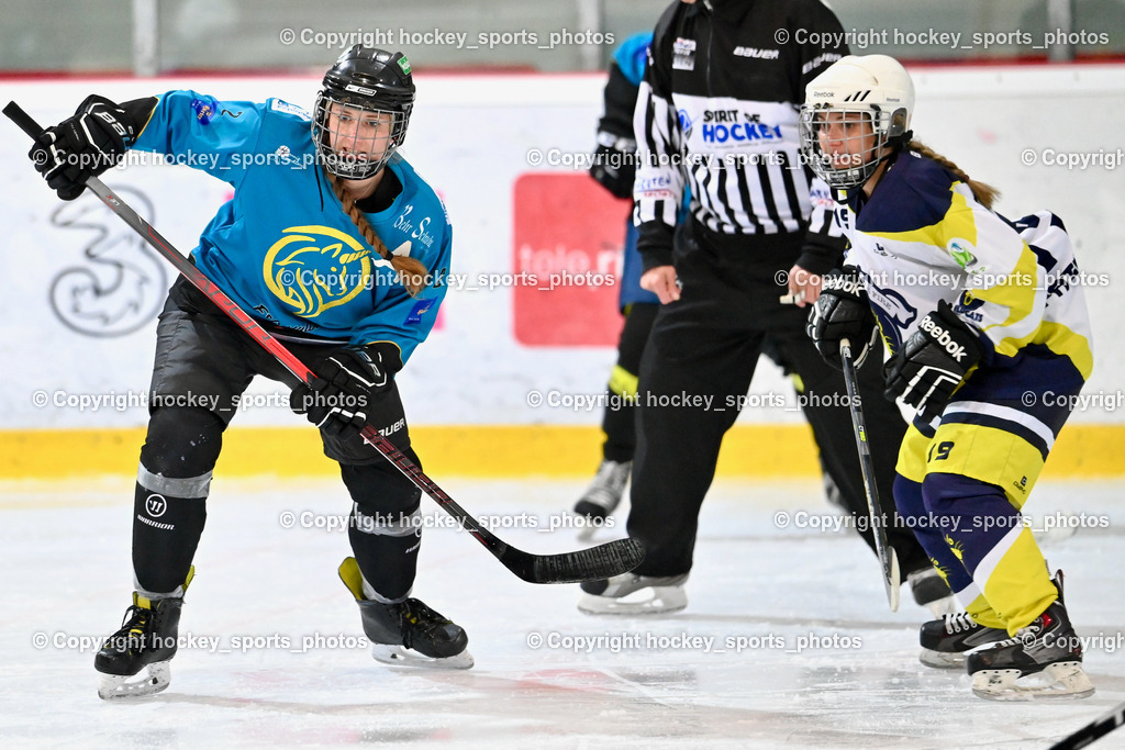 BST_6402 | hockey sports photos, Pressefotos, Sportfotos, hockey247, win 2day icehockeyleague, Handball Austria, Floorball Austria, ÖVV, Kärntner Eishockeyverband, KEHV, KFV, Kärntner Fussballverband, Österreichischer Volleyballverband, Alps Hockey League, ÖFB, 