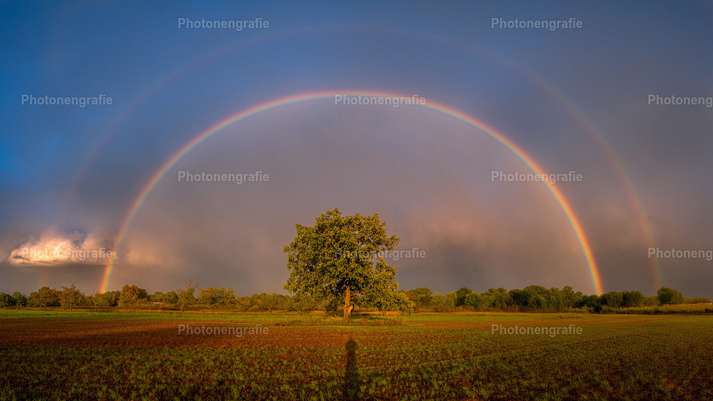 Ingelheim-13 | Photonengrafie´s Shop - Realisiert mit Pictrs.com