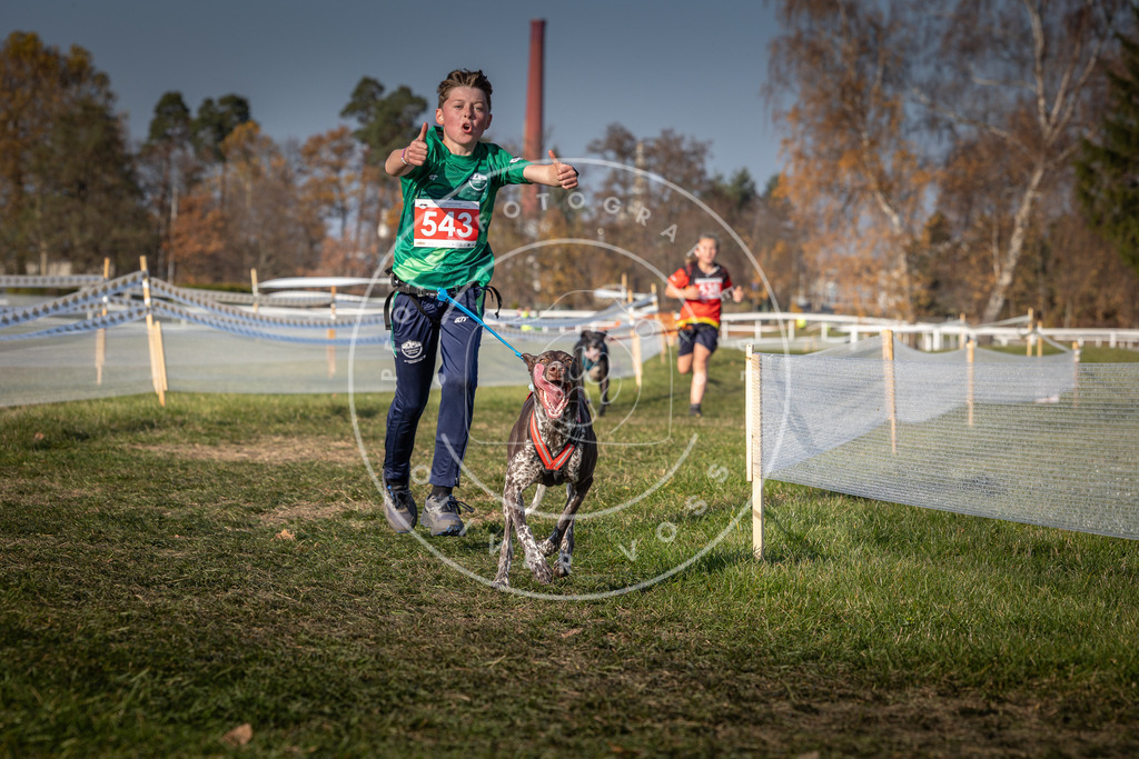 CaniXpix_0L8A8985 | Hundefotografie, Tierfotograf, Pfotenfotografie, Fotoshooting Hund, Hunde Portrait, Hundesport, Hundeportraits, Heideshooting, Hunde, Sportfotograf, Hundefotograf, Turnierhundsport, THS,  - Realisiert mit Pictrs.com