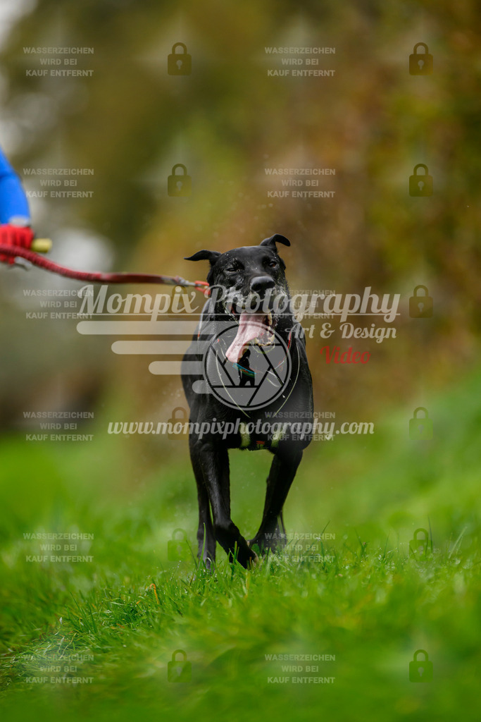 MompixPhotography_20TSB_E8_Bike-135 | PayLife