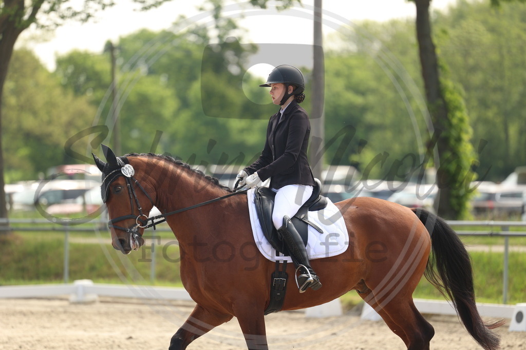 994A6428 | sabrinanicolaifotografie - Realisiert mit Pictrs.com