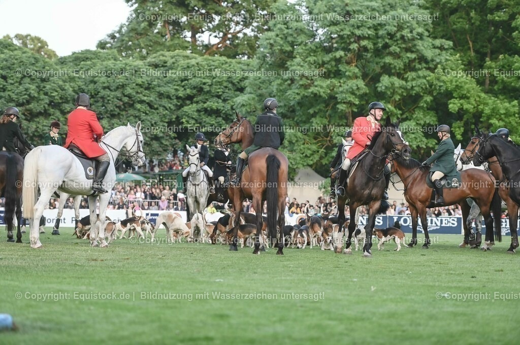 20230526_Pferdenacht_0545 | equistock
