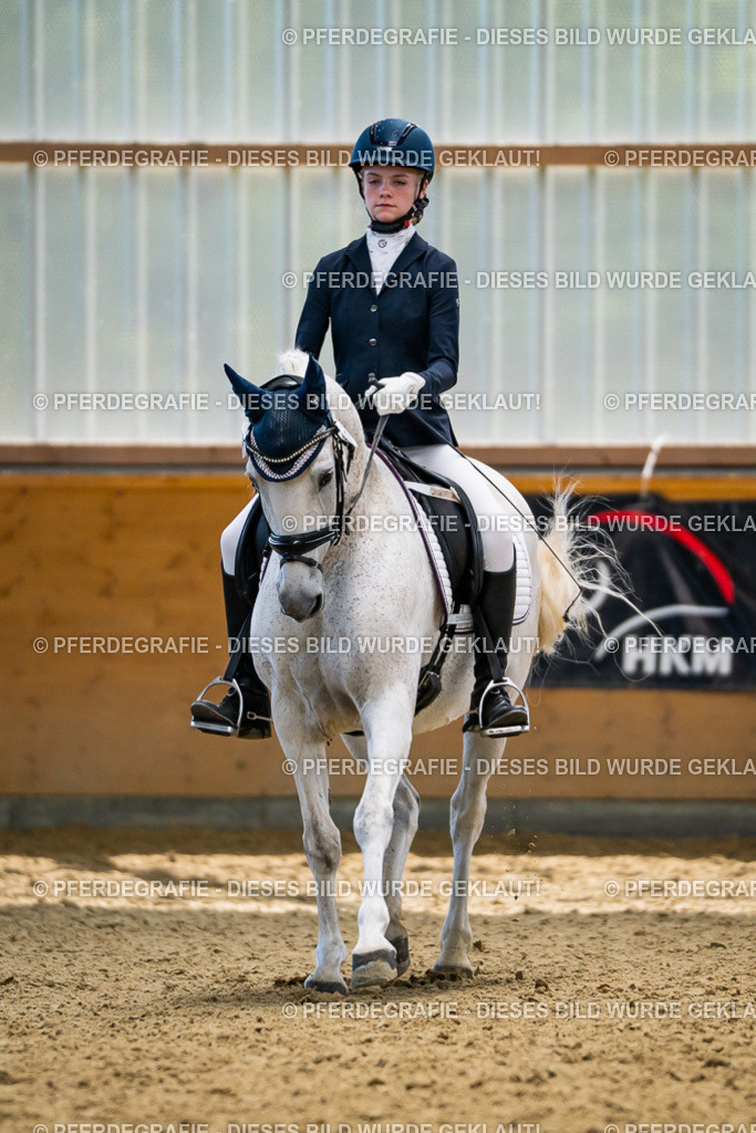 DSC05478 | Pferdegrafie