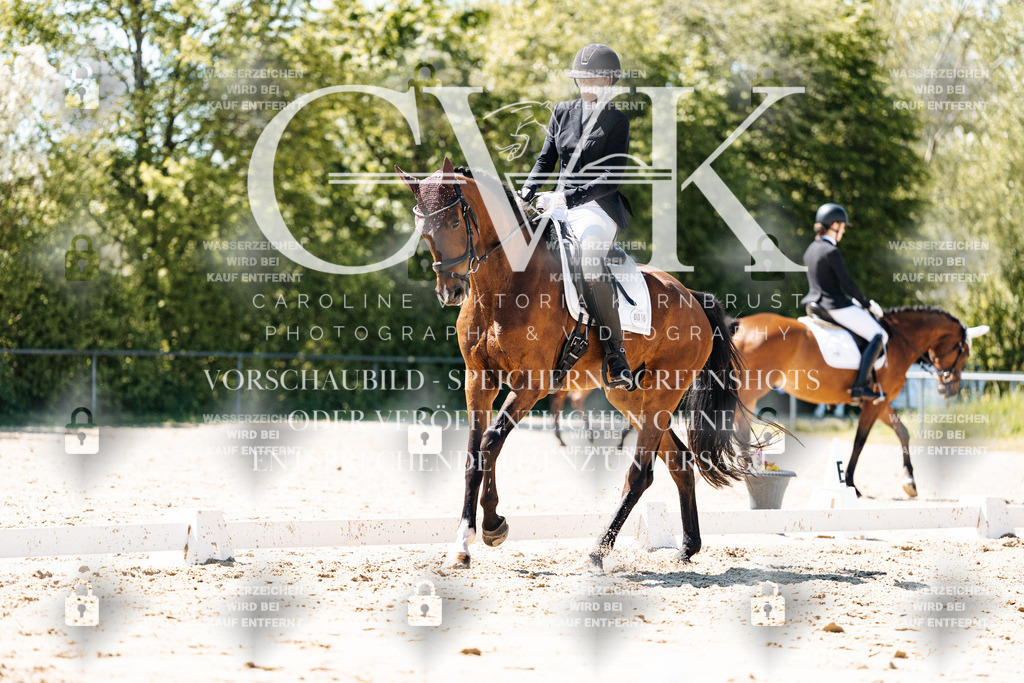 CK905806 | Turnierfotografie Pferdefotografie Trier Rheinland-Pfalz Pferdesport Reitsport Tierfotografie Sportfotografie Pferdevideo Pferdevideografie Equestrianvideography equestrianphotography  - Realisiert mit Pictrs.com