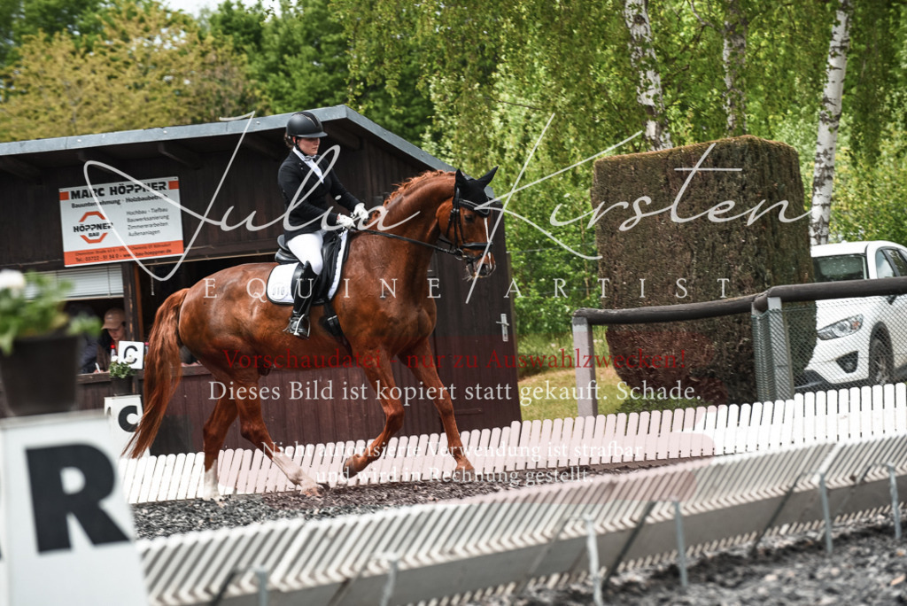 20230514_JK-Röhrsdorf-24-059 | Pferde- und Turnierfotografie in Westsachsen. Pferdeportraits, Auftragszeichnungen und intuitive Kunst.