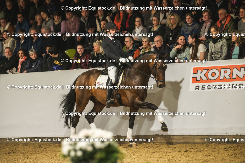 20240302_Hengstvorstellung_Marbach_TOMsPiC_1240 | equistock