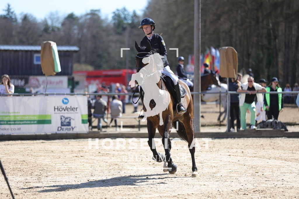0P6A7818 | Willkommen bei Brunnmayr - Design & Fotografie – Ihrem Spezialisten für Reitturniere und Pferdeveranstaltungen in Oberösterreich, Salzburg und Bayern! Seit über 17 Jahren sind wir leidenschaftlich dabei.