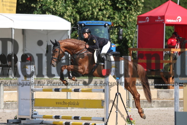 Weilheim_2023_Prfg.Nr.09_Qualifikation_PSA-Tour_Eva-Maria Lühr_Arezzo Gold (8) | Alle Fotos der Reiterjournal Fotografin Doris Matthaes im Reiterjournal Online-Fotoshop. - Realisiert mit Pictrs.com