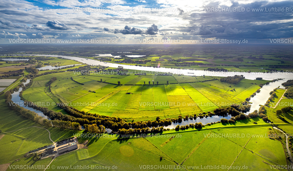Rees241010411GriethetorterAltrhein | Luftbild,Grietherorter Altrhein Landschaftsschutzgebiet im Gegenlicht, grüne Wiesen und Fernsicht mit Wolken, Bienen, Rees, Niederrhein, Nordrhein-Westfalen, Deutschland