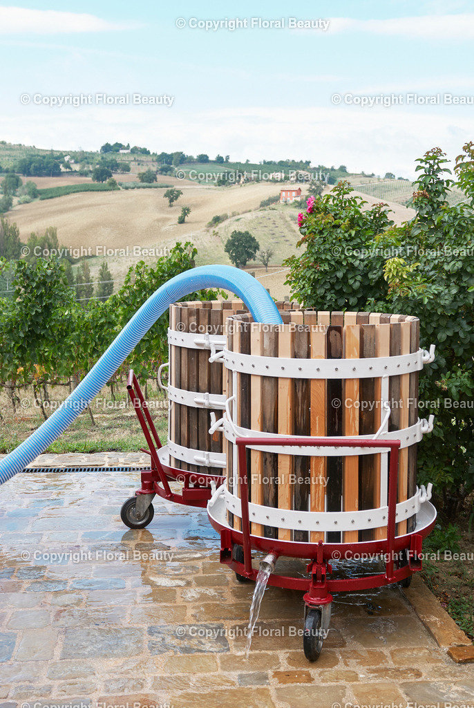 Weingut in Italien | Reinigung der Maischefässer - Realized with Pictrs.com