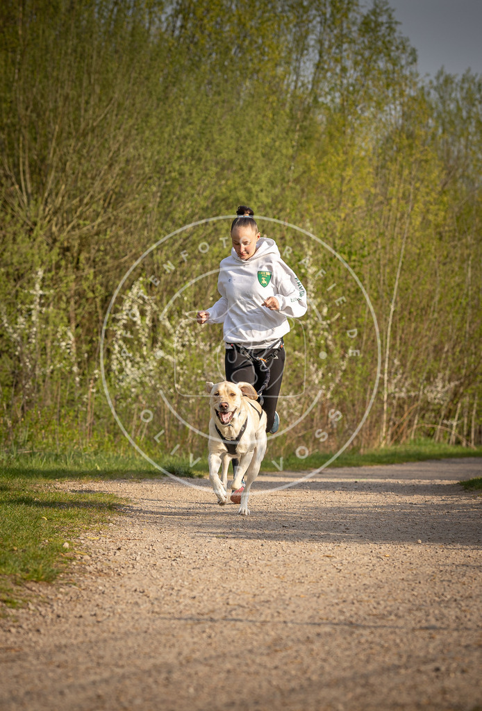 Pfotenfotografie_DV3A4545 | Hundefotografie, Tierfotograf, Pfotenfotografie, Fotoshooting Hund, Hunde Portrait, Hundesport, Hundeportraits, Heideshooting, Hunde, Sportfotograf, Hundefotograf, Turnierhundsport, THS,  - Realisiert mit Pictrs.com