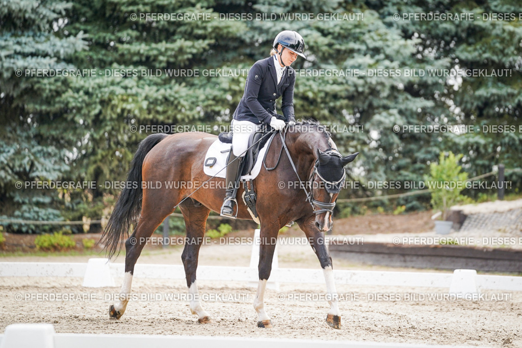 DSC01718 | Pferdegrafie