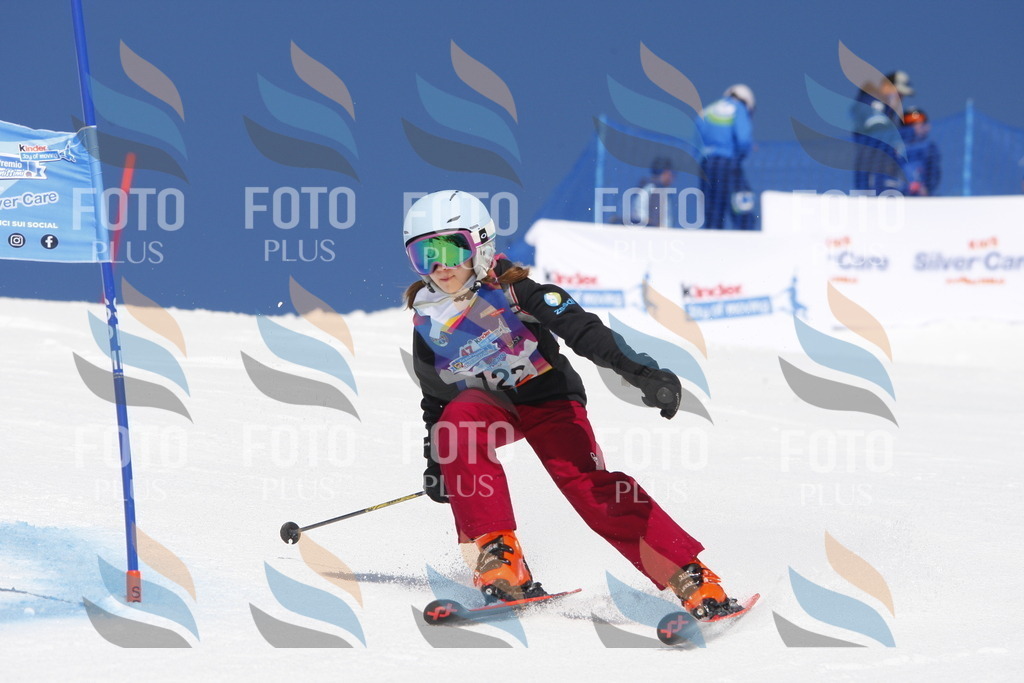 _W1G1846 | holidayphoto