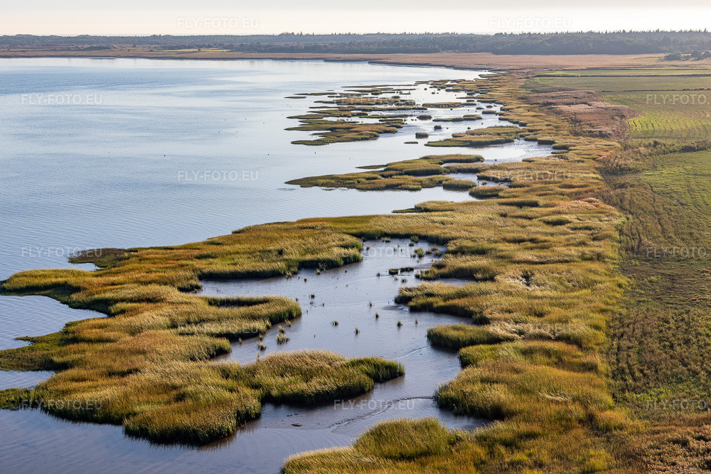Vue aérienne: Côte à marée haute dans le parc national de la mer des Wadden, en mer du Nord, à Fanø à Fanø dans le département Syddanmark, Danemark. Photo: IMG_118870.jpg prise le 21/09/2019 par Werner Riehm/FLY-FOTO.euRésolution de l'original: 5377 x 3584 px