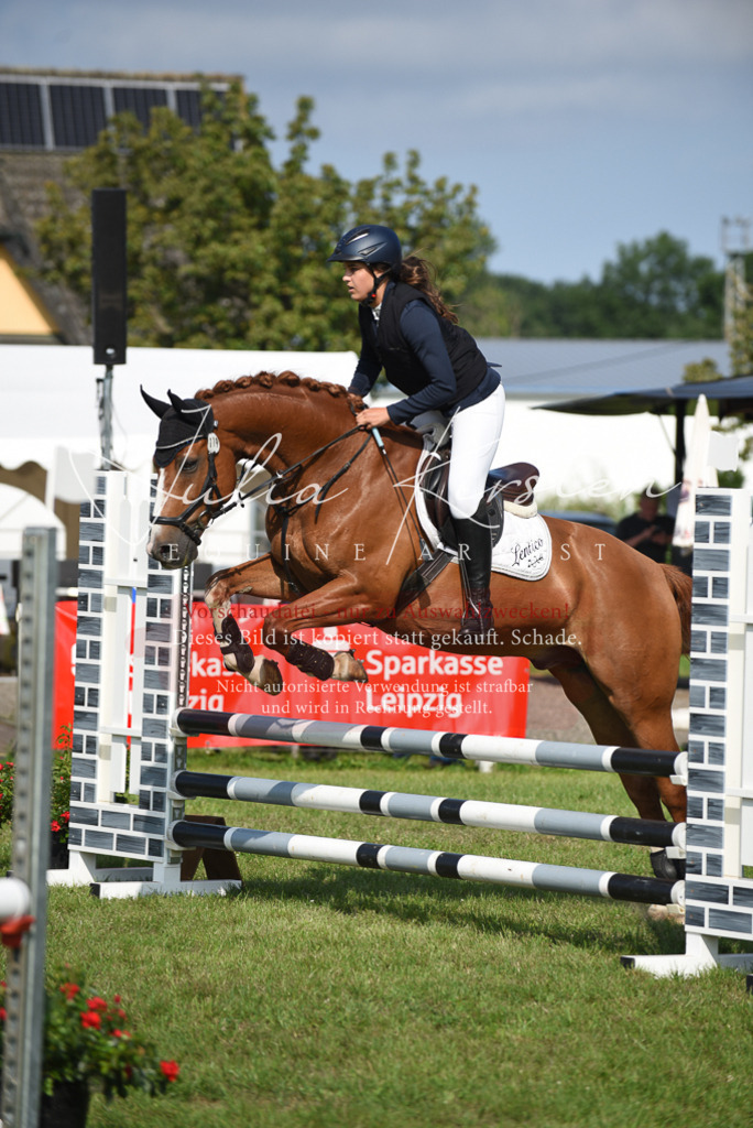 DSC_8920 | Pferde- und Turnierfotografie in Westsachsen. Pferdeportraits, Auftragszeichnungen und intuitive Kunst.