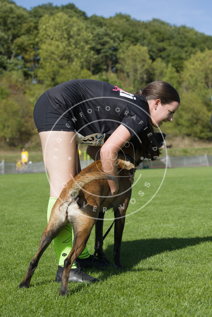 0L8A7786 | Hundefotografie, Tierfotograf, Pfotenfotografie, Fotoshooting Hund, Hunde Portrait, Hundesport, Hundeportraits, Heideshooting, Hunde, Sportfotograf, Hundefotograf, Turnierhundsport, THS,  - Realisiert mit Pictrs.com