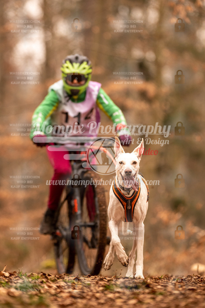 AKM_ST_2023_SAM_Bike-135 | PayLife