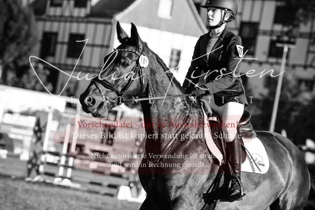 DSC_4877 | Pferde- und Turnierfotografie in Westsachsen. Pferdeportraits, Auftragszeichnungen und intuitive Kunst.