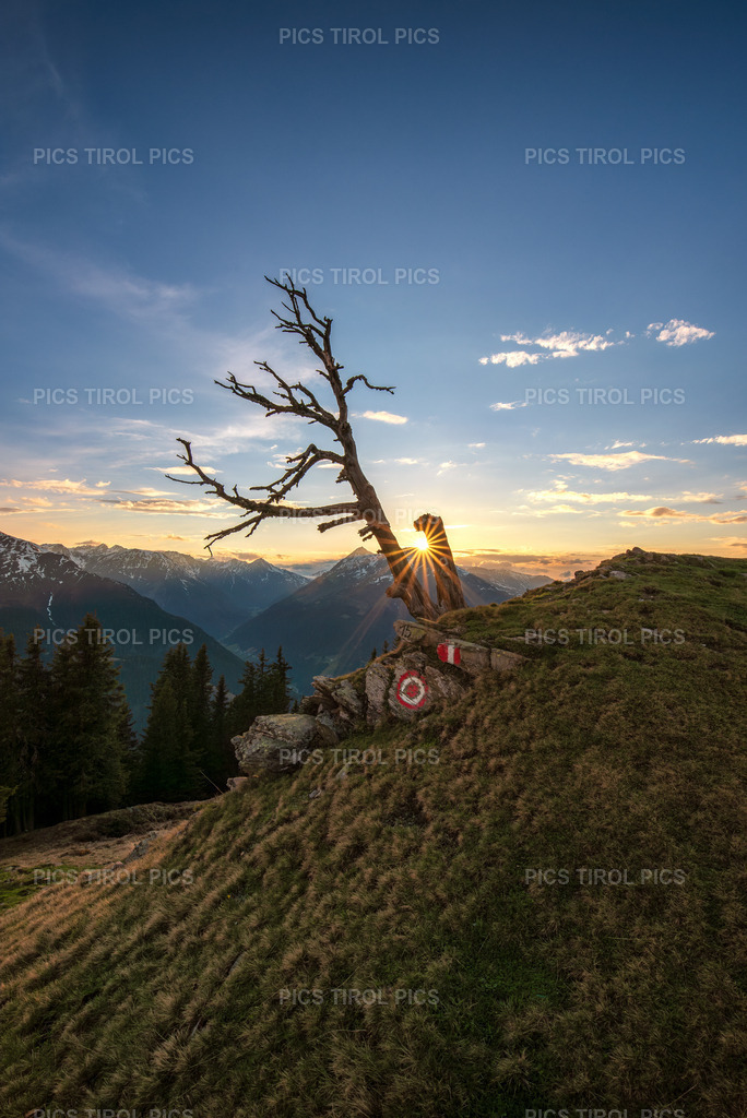 DSC_7944-Verbessert-RR-Bearbeitet | Tirolpics