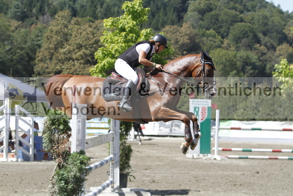 _MG_6429 | equestrian-live-com