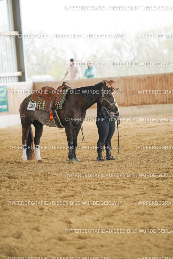 DSC07719 | Pferdegrafie