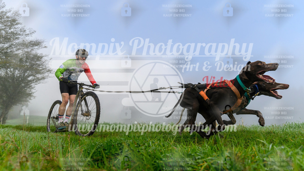 MompixPhotography_20TSB_E5_DS2-2 | PayLife