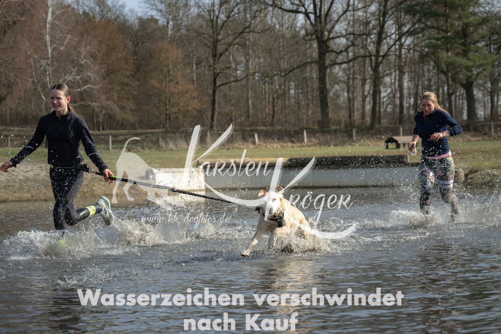 1258_ZZ93471 | kk-dogfotos