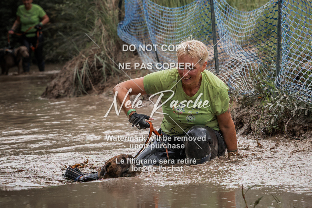 nelerasche_Hoope2026_So1200-1245_19 | nelerasche