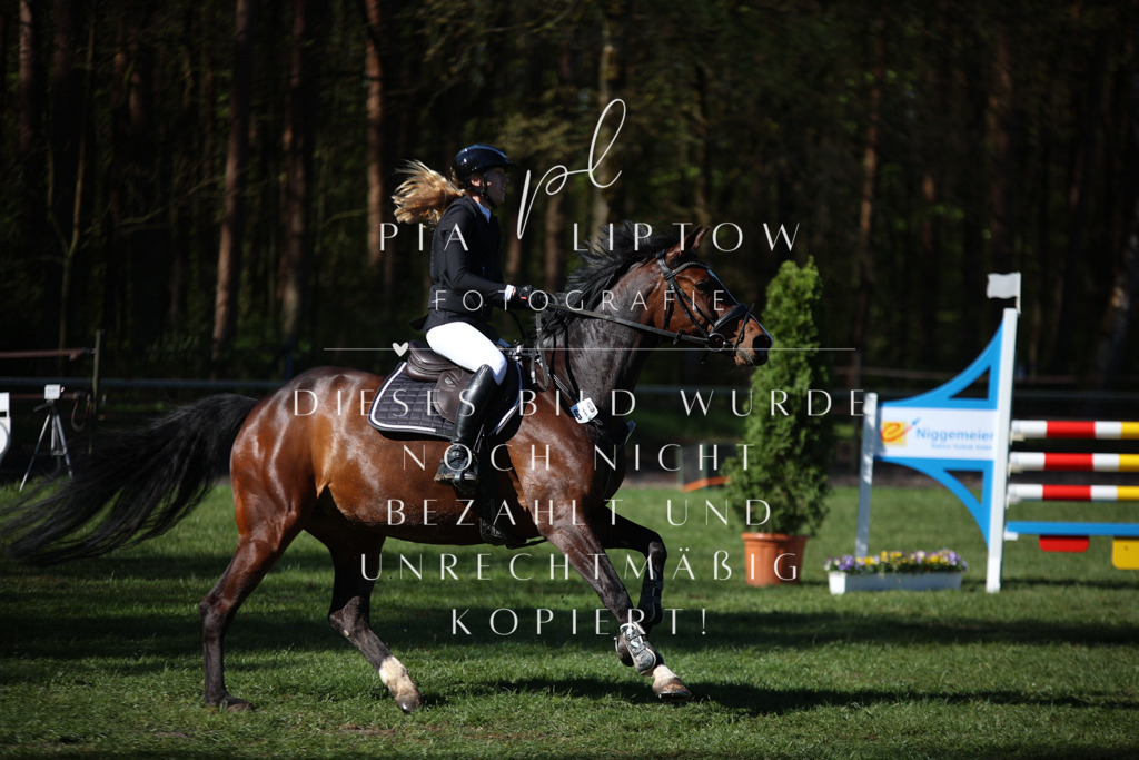 IMGT0293 | pl-fotografie