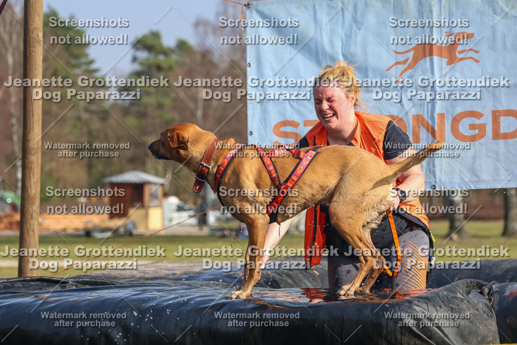 Dog Paparazzi - Strongdog North Mrz26-2531 | Dog Paparazzi Jeanette Grottendiek Fotografie & Videografie - Realisiert mit Pictrs.com
