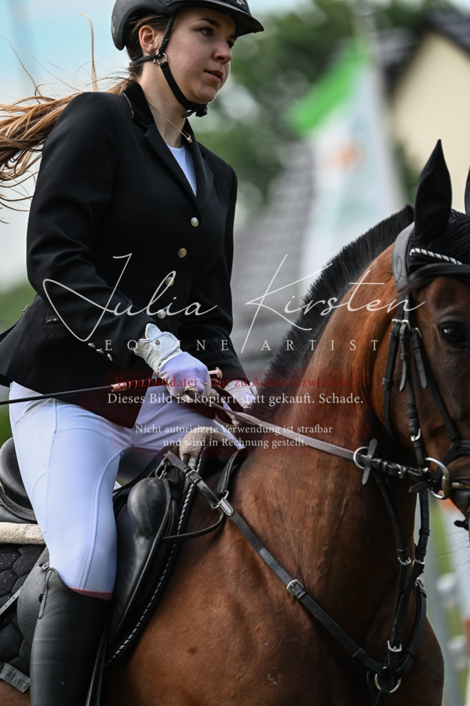 DSC_8660 | Pferde- und Turnierfotografie in Westsachsen. Pferdeportraits, Auftragszeichnungen und intuitive Kunst.