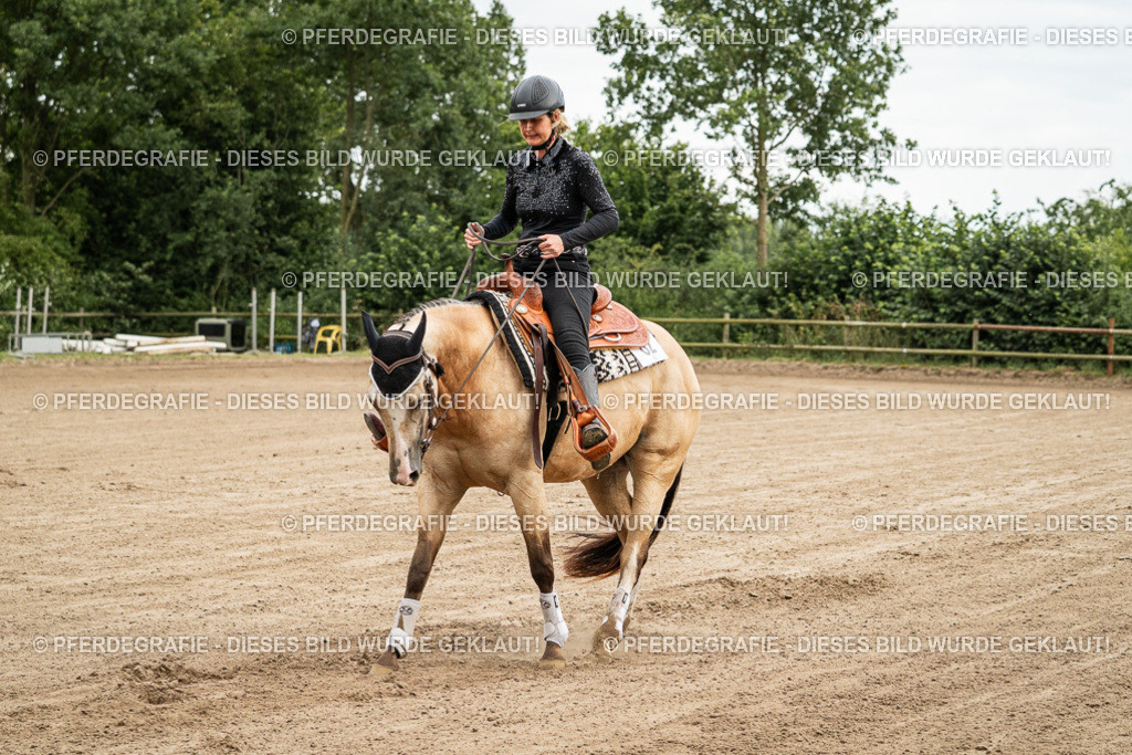 DSC04784 | Pferdegrafie