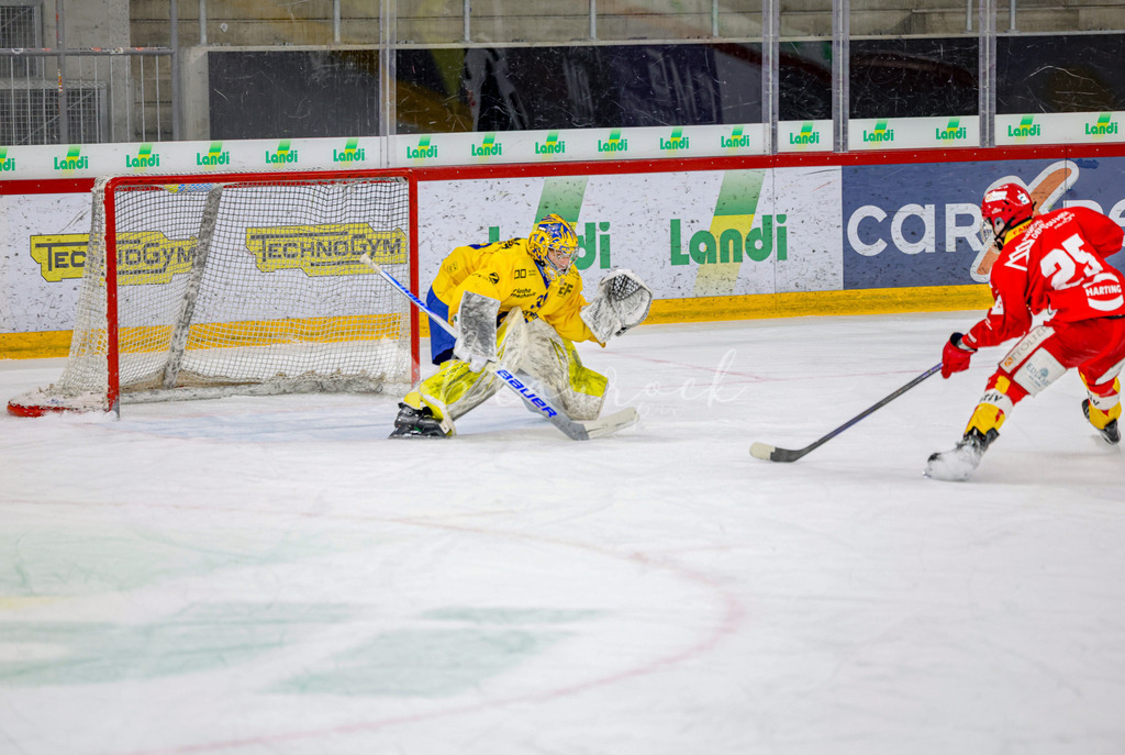 EHCB vs HCD-1496 | Sportbilder, Sportfotograf, Hochzeits- und Eventfotografin, Flugshows, Portraits und Tiershooting, Aviation, Downhill, Nationalleague, Swissleague, International