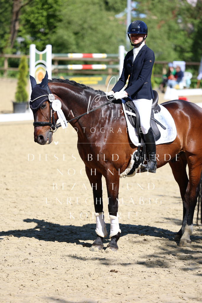 IMGS0695 | pl-fotografie