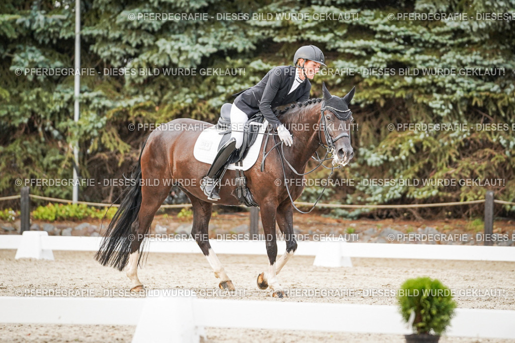 DSC09051 | Pferdegrafie