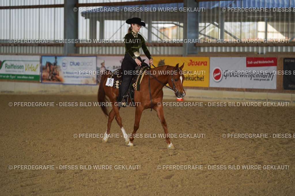 DSC08579 | Pferdegrafie