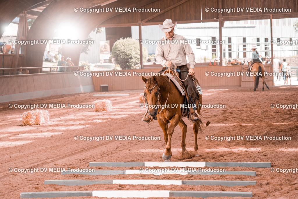 NE300340 | dv-media-shop - Realisiert mit Pictrs.com