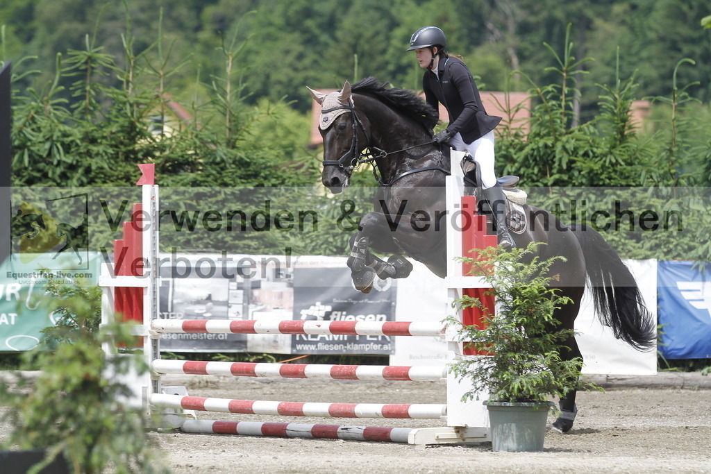 _MG_5137 | equestrian-live-com