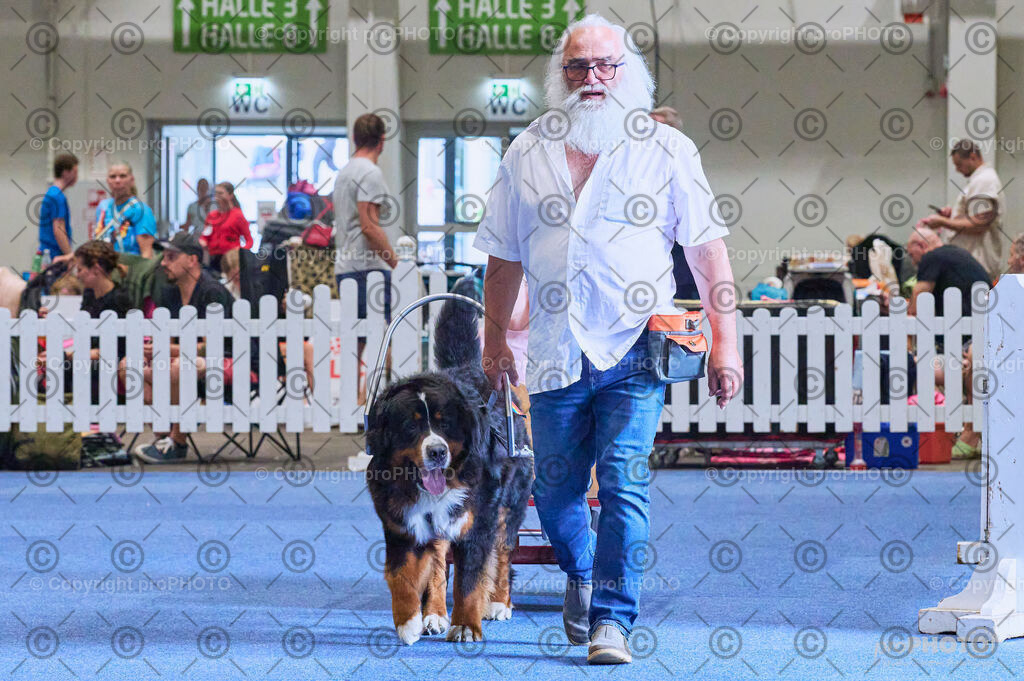 202406_ÖKV-IHA-Tulln24_DSC_4668 | proPHOTO - Realisiert mit Pictrs.com