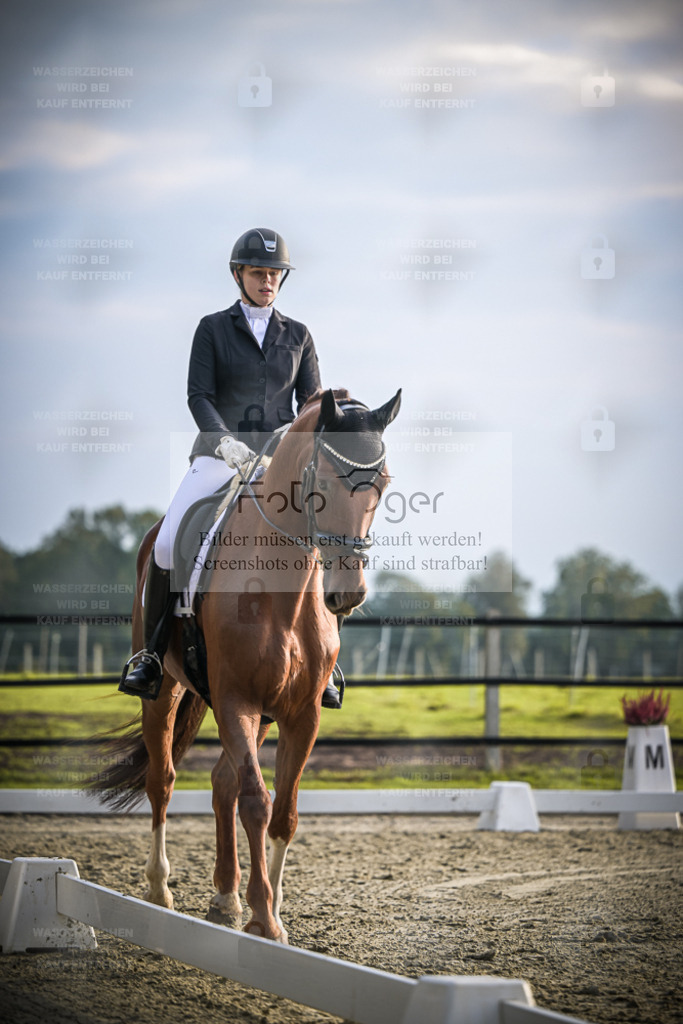 DOS_3264 | Entdecke hochwertige Reitturnierfotos von Foto Oger. Professionell, emotional und authentisch – jetzt Lieblingsmomente im Shop bestellen. - Realisiert mit Pictrs.com