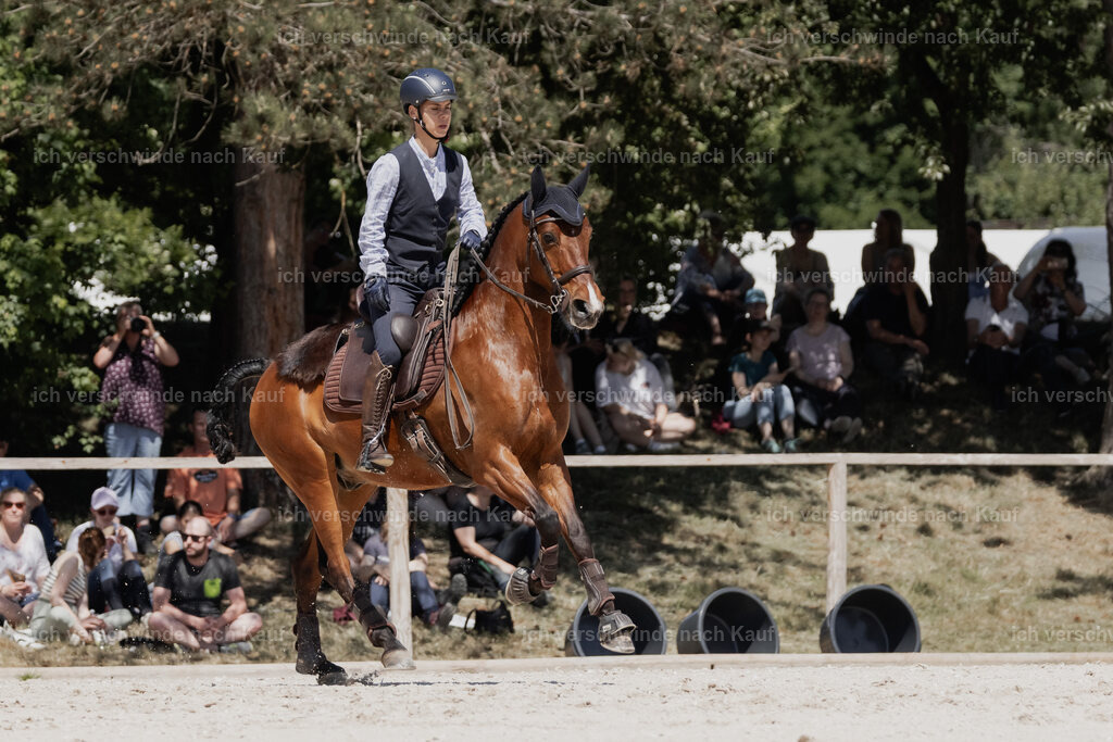 WE_SP_Stoib_343_PI2025_1780 | Pferd International München 2025