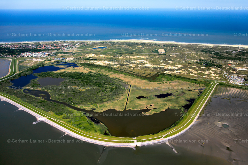 3090227 | Norderney Nationalpark Niedersächsisches Wattenmeer