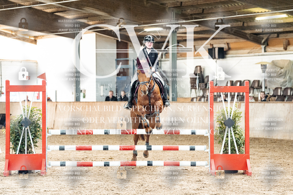 CK904753 | Turnierfotografie Pferdefotografie Trier Rheinland-Pfalz Pferdesport Reitsport Tierfotografie Sportfotografie Pferdevideo Pferdevideografie Equestrianvideography equestrianphotography  - Realized with Pictrs.com