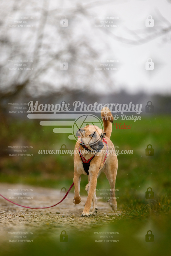 MompixPhotography_ReiatRennen2024_SO_Happy-47 | PayLife